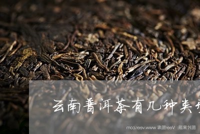 云南普洱茶有几种类型的茶/2023102588491