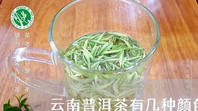 云南普洱茶有几种颜色和香气/2023110535031