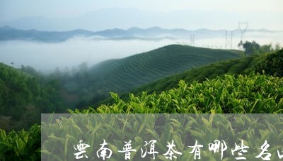 云南普洱茶有哪些名山/2023080331825