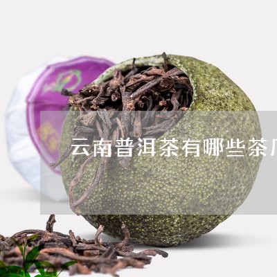 云南普洱茶有哪些茶厂/2023120659504