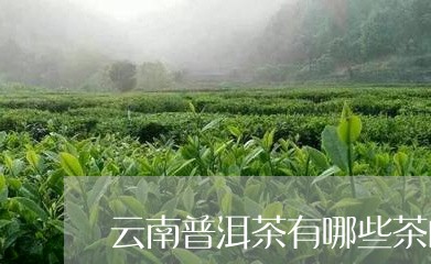 云南普洱茶有哪些茶山/2023073013928