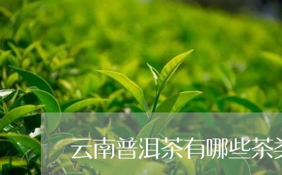 云南普洱茶有哪些茶类品种/2023082594815