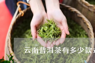 云南普洱茶有多少款式的/2023122644169