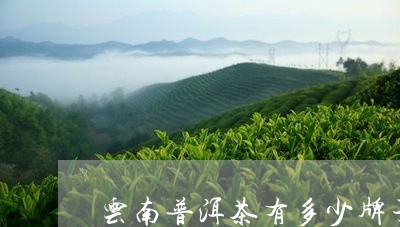 云南普洱茶有多少牌子/2023080248393