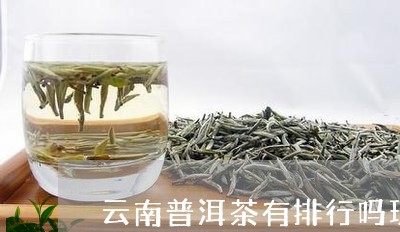 云南普洱茶有排行吗现在/2023110526980