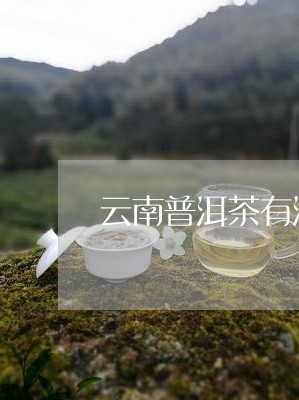 云南普洱茶有没有红茶/2023100663826