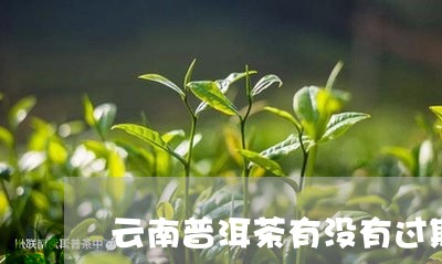 云南普洱茶有没有过期/2023061509586