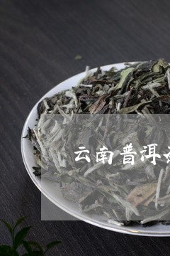 云南普洱茶有没有黑点/2023100534846