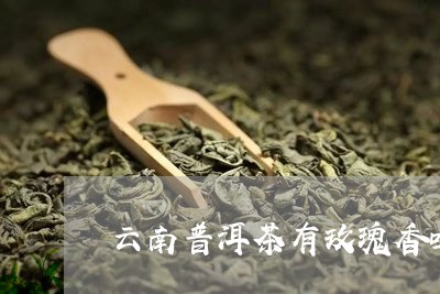 云南普洱茶有玫瑰香吗/2023072423815