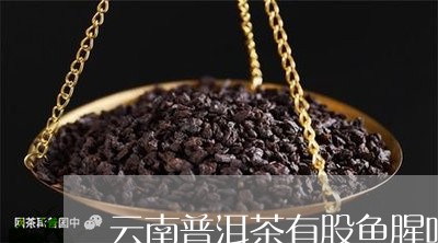 云南普洱茶有股鱼腥味/2023062023716