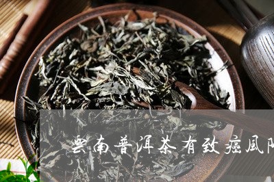 云南普洱茶有致癌风险/2023100714836