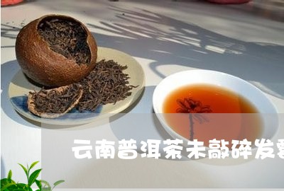 云南普洱茶未敲碎发霉/2023080149482