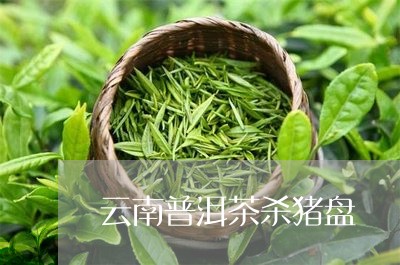 云南普洱茶杀猪盘/2023112632613