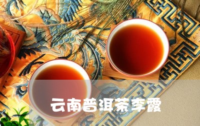 云南普洱茶李霞/2023112628591