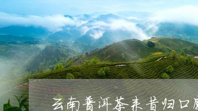 云南普洱茶来昔归口感/2023062123049