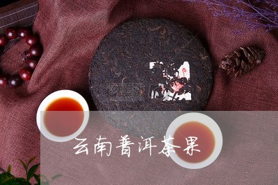 云南普洱茶果/2023042716385