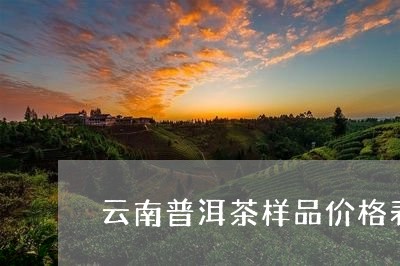 云南普洱茶样品价格表和图片/2023082872827