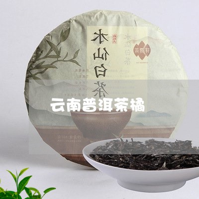 云南普洱茶橘/2023081514868