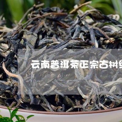 云南普洱茶正宗古树纯料/2023112817491