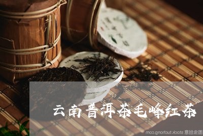 云南普洱茶毛峰红茶/2023101710503