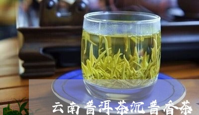 云南普洱茶沉普香茶/2023062575837