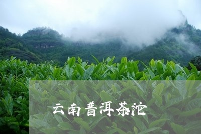 云南普洱茶沱/2023042604648