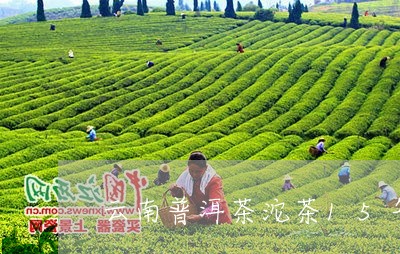 云南普洱茶沱茶15年/2023112767240