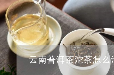 云南普洱茶沱茶怎么泡/2023100528601