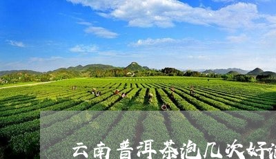 云南普洱茶泡几次好泡不/2023050476049