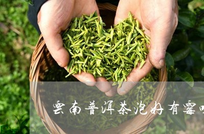 云南普洱茶泡好有霉味/2023062401593