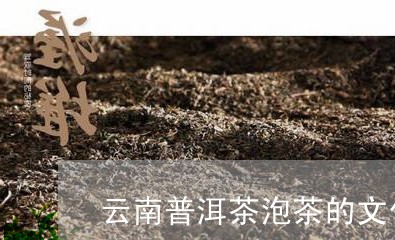 云南普洱茶泡茶的文化/2023092598460