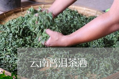 云南普洱茶洒/2023042953170