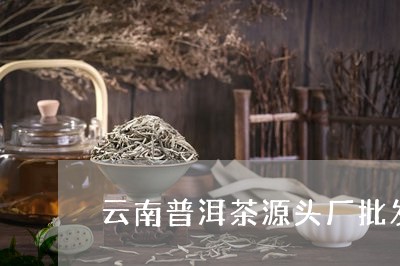 云南普洱茶源头厂批发/2023120606967