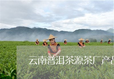 云南普洱茶源茶厂产品介绍/2023110167050