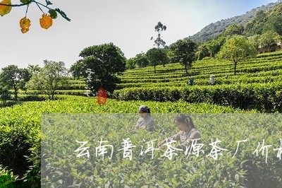 云南普洱茶源茶厂价格/2023080197047