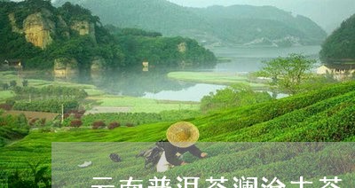 云南普洱茶澜沧古茶/2023091441704