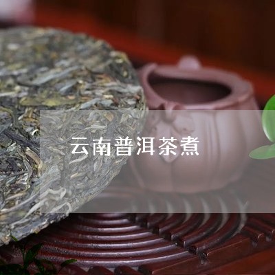 云南普洱茶煮/2023042870142