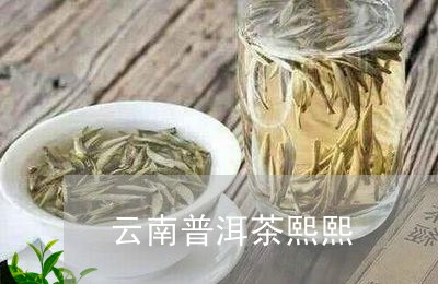 云南普洱茶熙熙/2023101684725