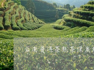 云南普洱茶熟茶保质期/2023100558370