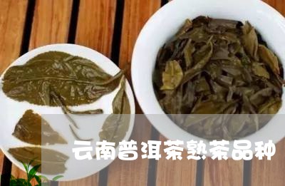 云南普洱茶熟茶品种/2023070983928