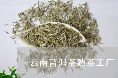 云南普洱茶熟茶工厂/2023112736037