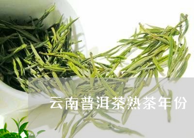 云南普洱茶熟茶年份/2023120593826