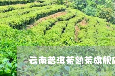 云南普洱茶熟茶旗舰店/2023062267272