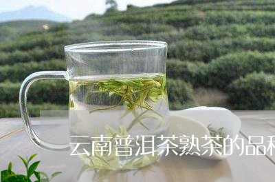 云南普洱茶熟茶的品种/2023100779502