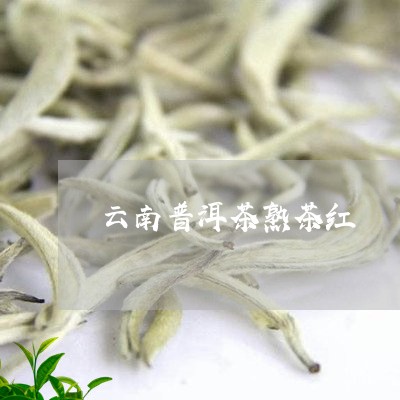 云南普洱茶熟茶红/2023101685259