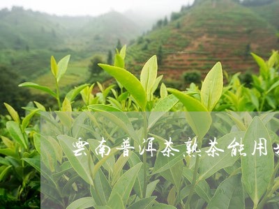 云南普洱茶熟茶能用来洗脸吗/2023110253128