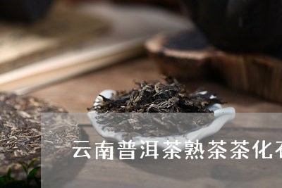 云南普洱茶熟茶茶化石/2023080326249