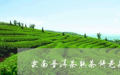 云南普洱茶熟茶饼老茶/2023101742604