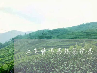 云南普洱茶熟茶饼茶/2023070951805