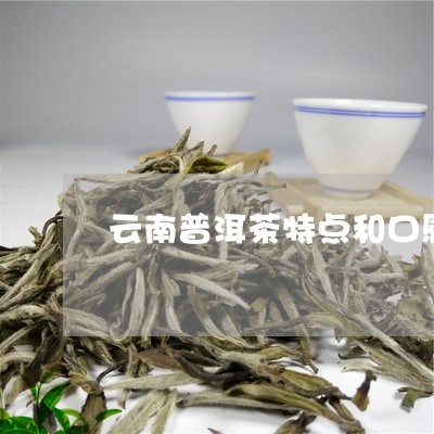 云南普洱茶特点和口感/2023100535958